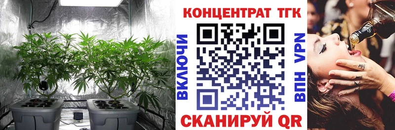 где продают   площадка формула  ОМГ ОМГ онион  ТГК гашишное масло  Прохладный 